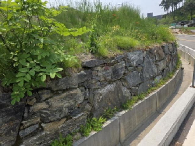 B000272202501300053183.jpg