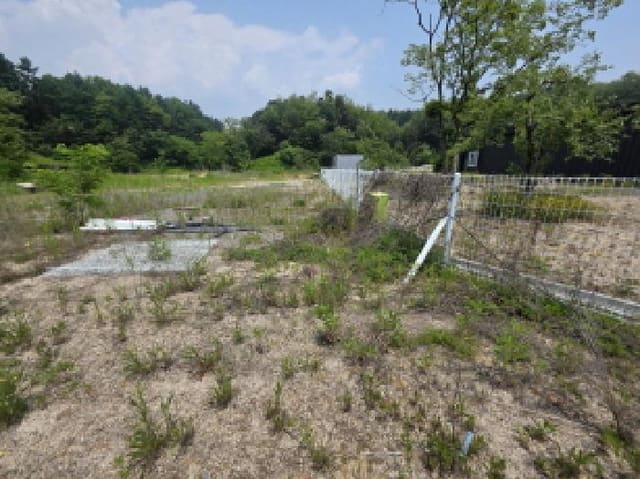 B000272202501300053181.jpg