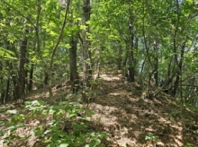 B000272202501300053251.jpg