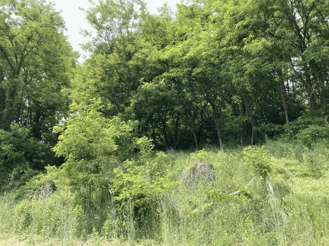 B000272202501300053274.jpg