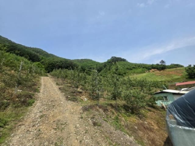 B000272202501300053304.jpg