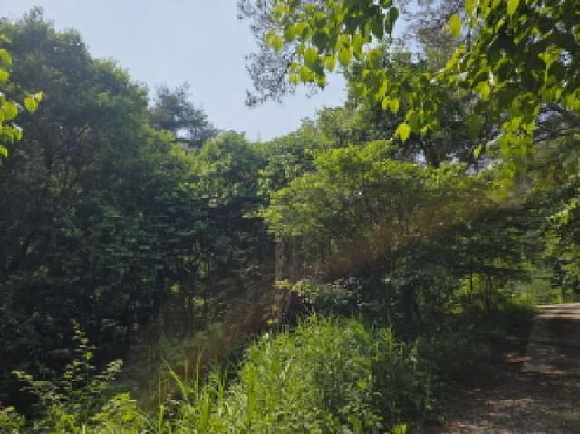 B000272202501300053391.jpg