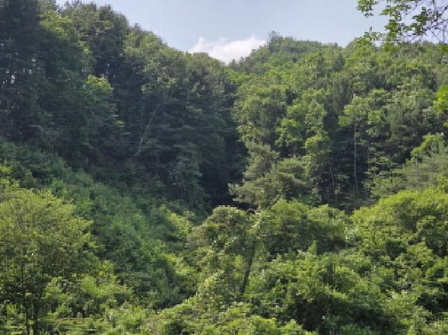 B000272202501300053392.jpg