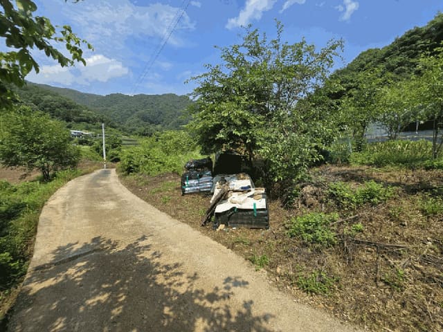 B000272202501300053403.jpg