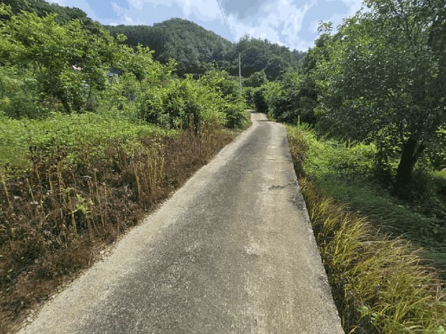 B000272202501300053404.jpg