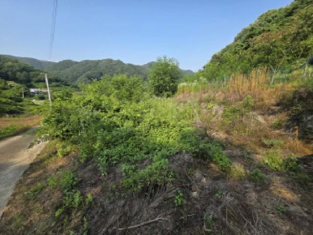 B000272202501300053401.jpg