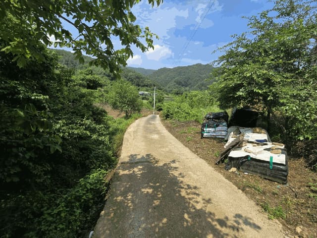 B000272202501300053402.jpg