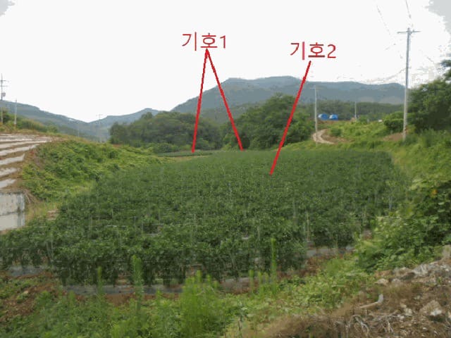 B000272202501300053413.jpg