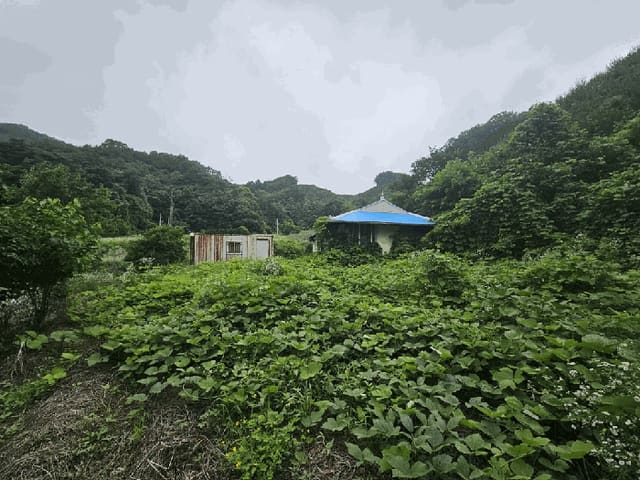 B000272202501300053433.jpg