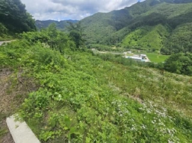 B000272202501300053523.jpg