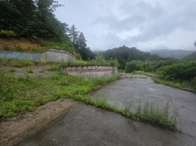 B000272202501300053541.jpg