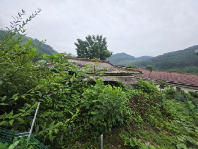 B000272202501300053692.jpg