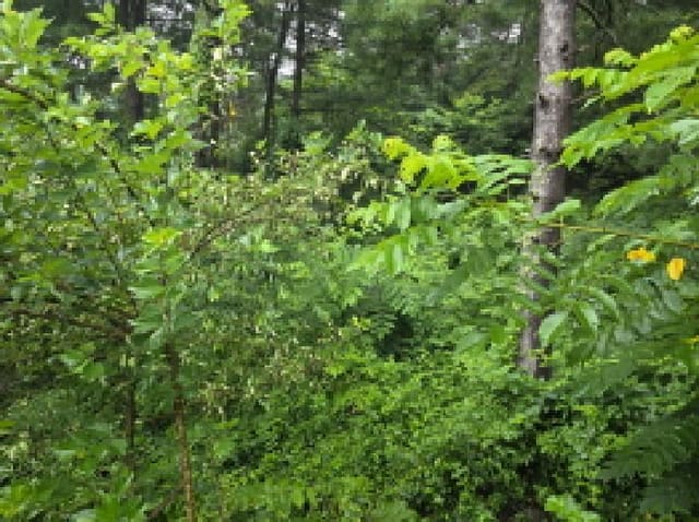 B000272202501300053691.jpg
