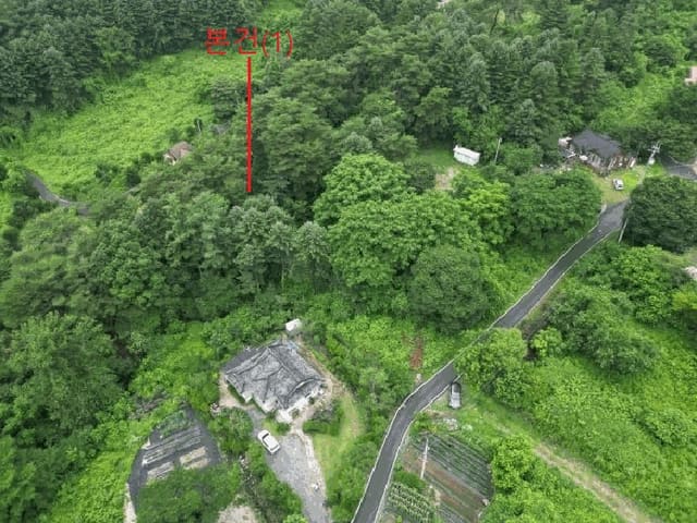 B000272202501300053694.jpg