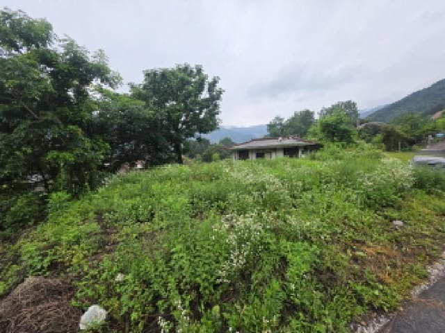 B000272202501300053693.jpg