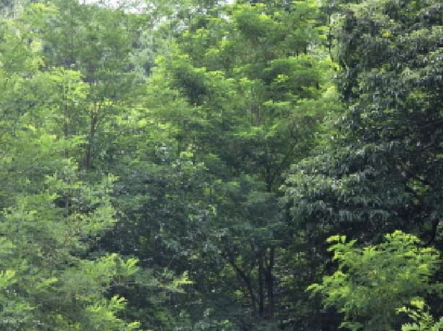 B000272202501300053702.jpg