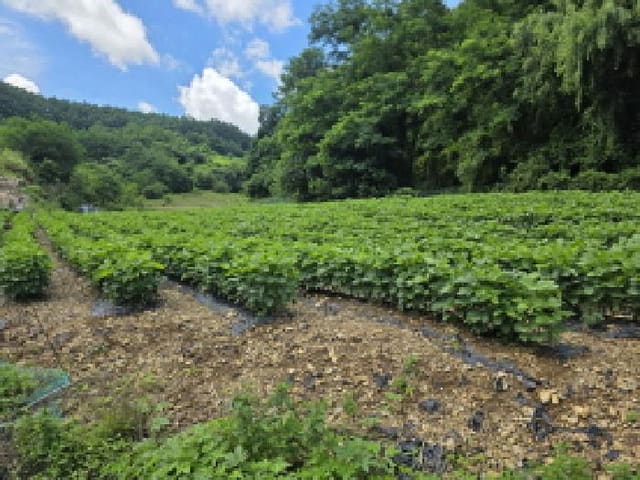 B000272202501300053701.jpg