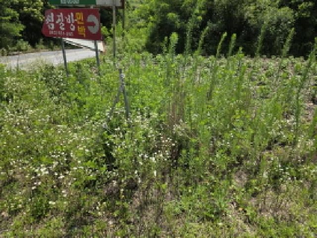B000272202501300053704.jpg