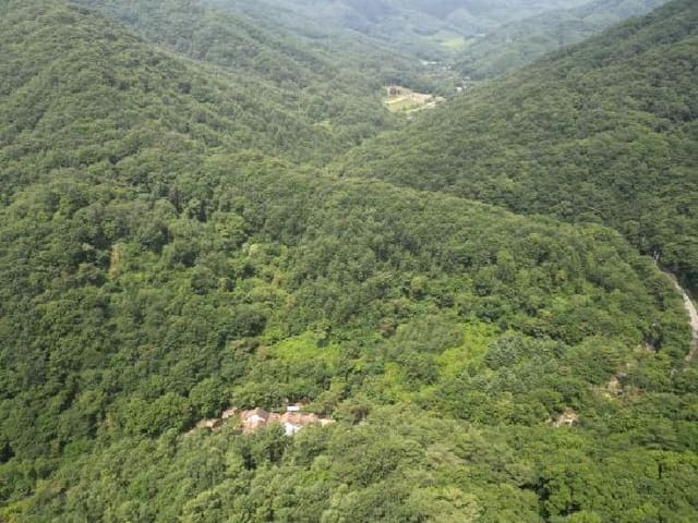 B000272202501300053712.jpg