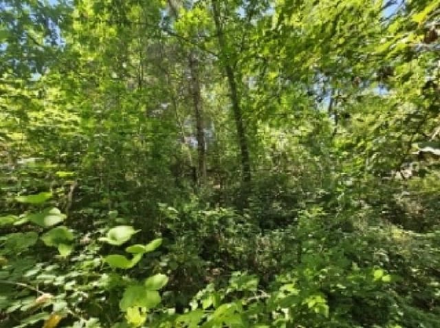 B000272202501300053743.jpg