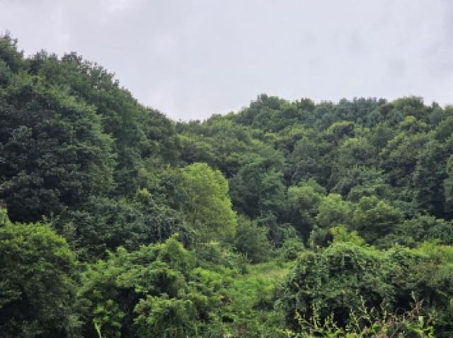 B000272202501300053811.jpg