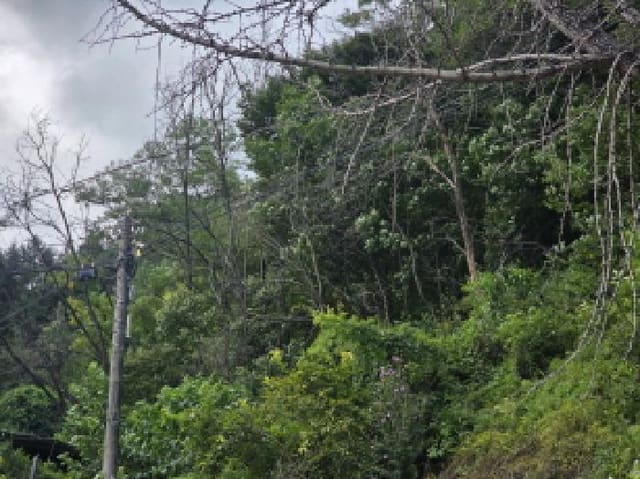 B000272202501300053862.jpg