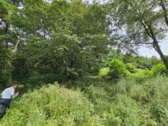 B000272202501300053874.jpg