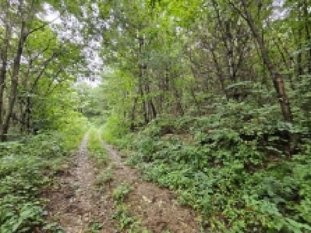 B000272202501300053872.jpg