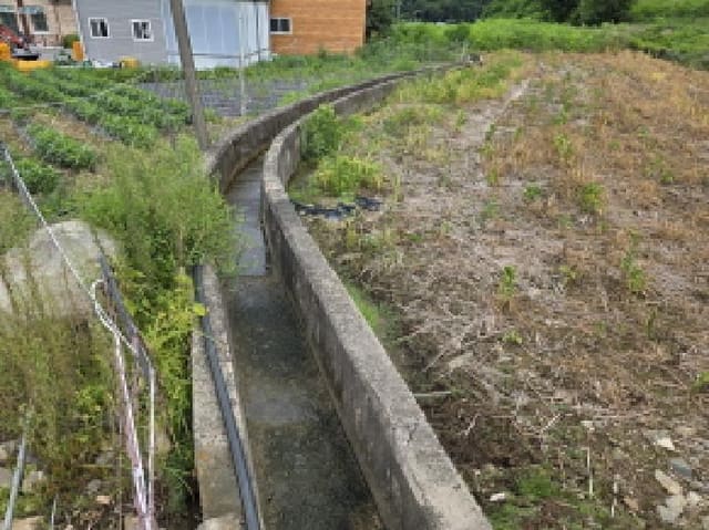 B000272202501300053883.jpg