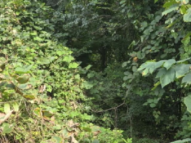 B000272202501300053941.jpg