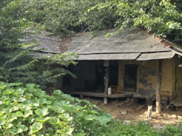 B000272202501300053961.jpg