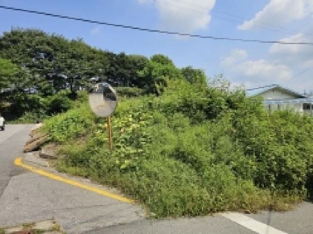 B000272202501300053974.jpg