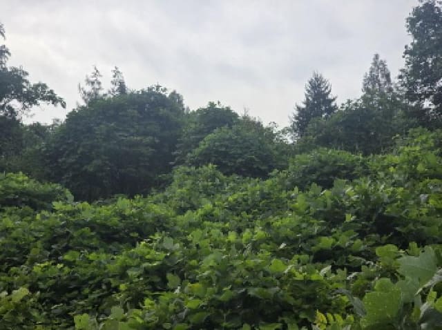 B000272202501300053982.jpg