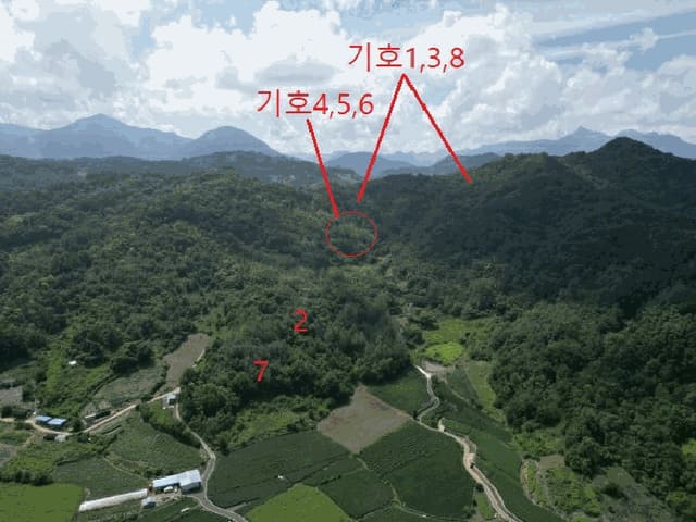B000272202501300053984.jpg