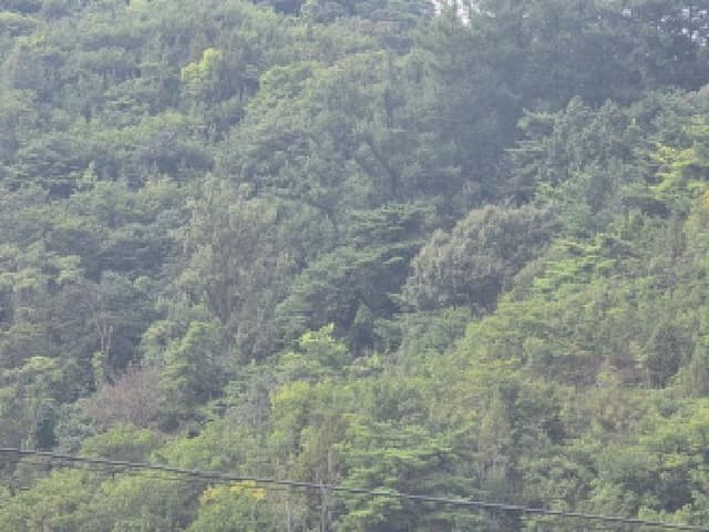 B000272202501300053981.jpg