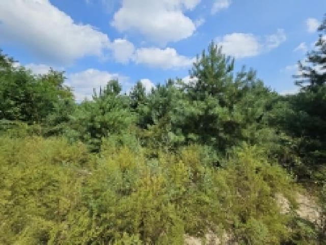 B000272202501300053993.jpg
