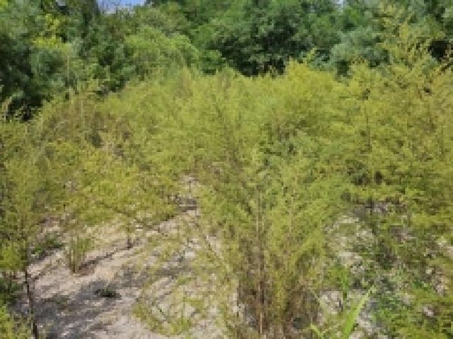 B000272202501300053991.jpg