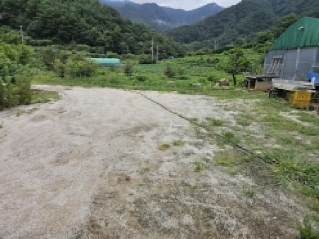 B000272202501300054034.jpg