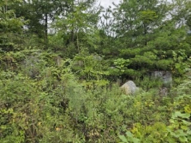 B000272202501300054062.jpg