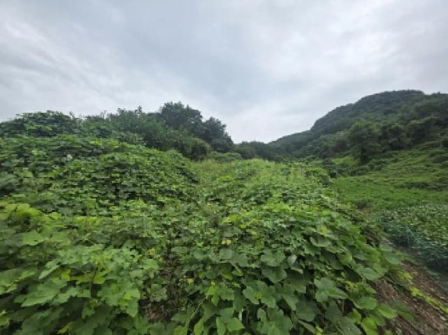 B000272202501300054093.jpg