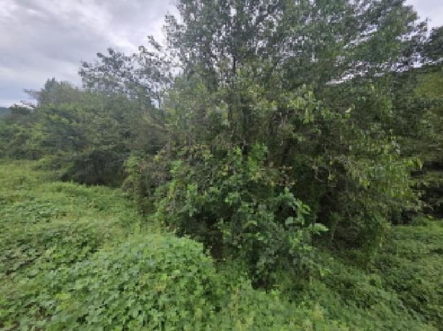 B000272202501300054092.jpg