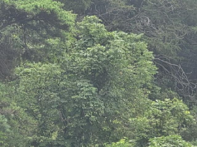 B000272202501300054094.jpg