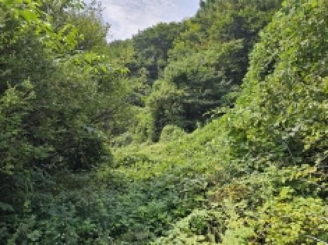 B000272202501300054103.jpg