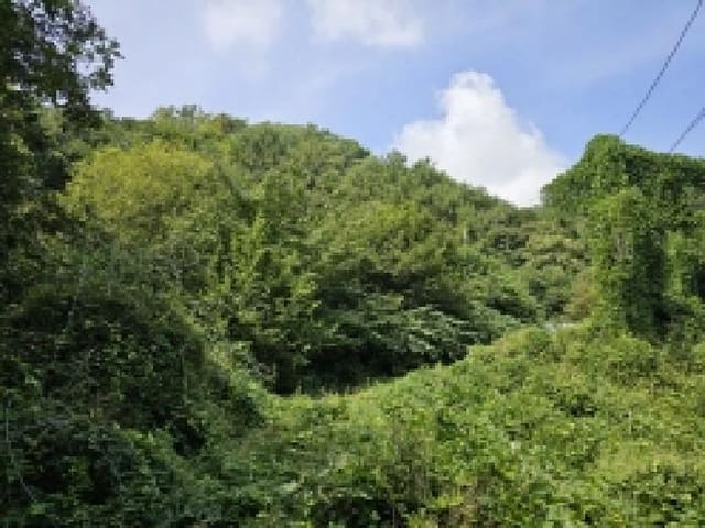 B000272202501300054101.jpg