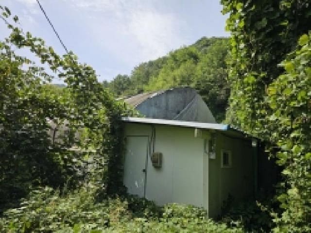 B000272202501300054104.jpg