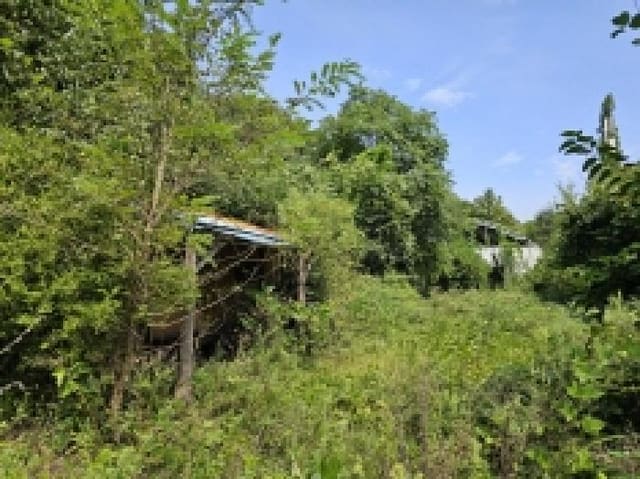 B000272202501300054102.jpg