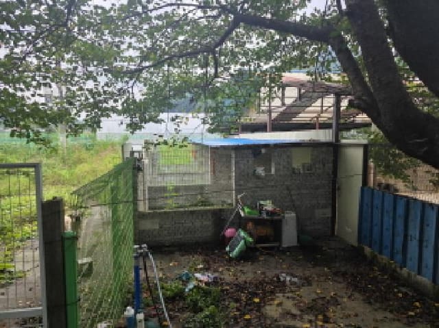 B000272202501300054114.jpg