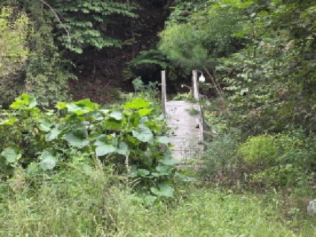 B000272202501300054138.jpg