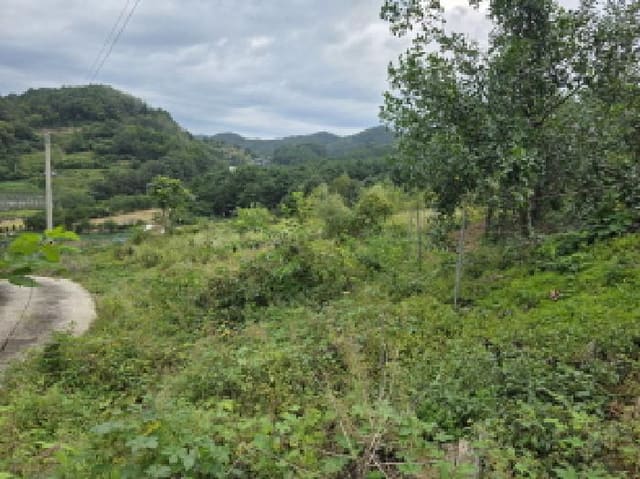 B000272202501300054141.jpg