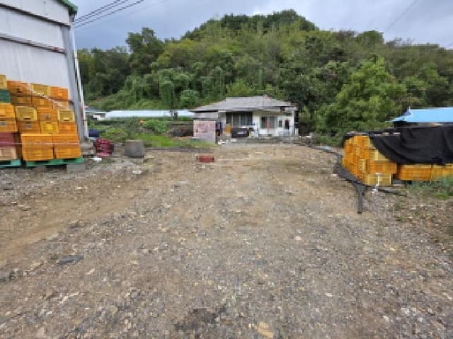 B000272202501300054211.jpg